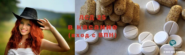 PSILOCYBIN Фурманов