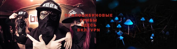 стафф Хадыженск