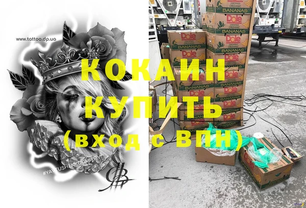 PSILOCYBIN Фурманов