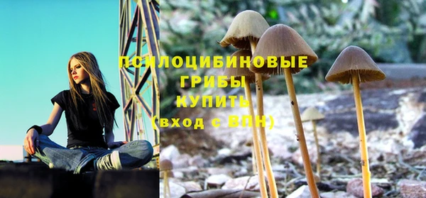 молекула духа Ханты-Мансийск