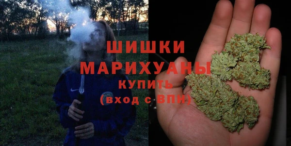 PSILOCYBIN Фурманов