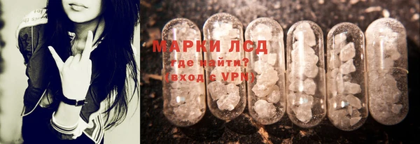 стафф Хадыженск