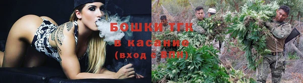 стафф Хадыженск