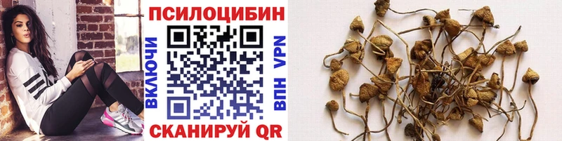 Галлюциногенные грибы прущие грибы Калач