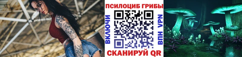 Псилоцибиновые грибы Psilocybine cubensis  Калач 