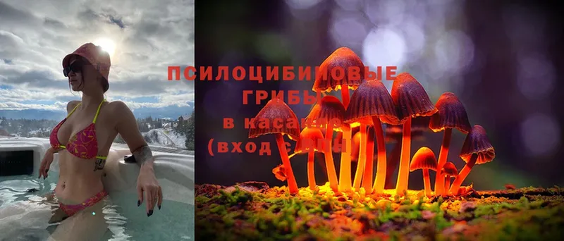 Псилоцибиновые грибы Magic Shrooms  как найти закладки  Калач 